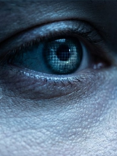 Ya estás en línea — miniatura